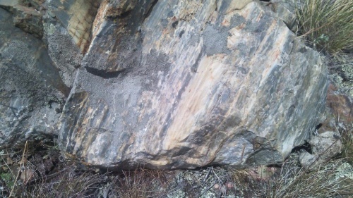 Гигантские зелёные валуны для ландшафтного дизайна весом более 5 тонн купить в Воронеже