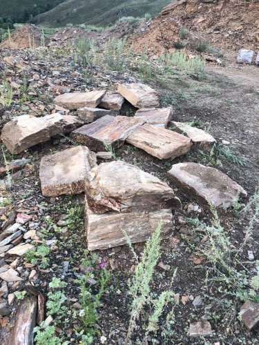 Плитняк кора дерева 50-100мм для пошаговых дорожек купить в Воронеже